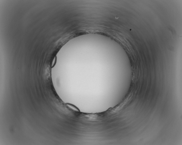 X0000112060478200908041015