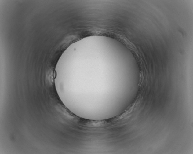 X0000112060479200908041015