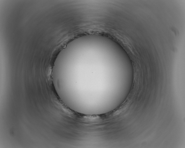 X0000112060480200908041015