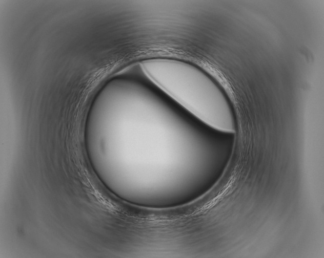 X0000112060481200908041014