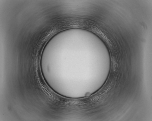 X0000112060482200908041014