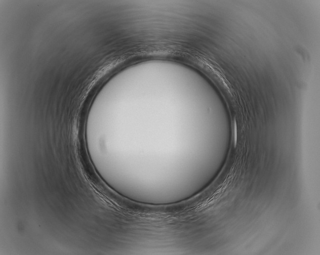 X0000112060483200908041014