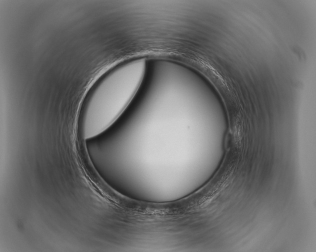 X0000112060484200908041014
