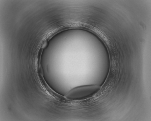 X0000112060485200908041014