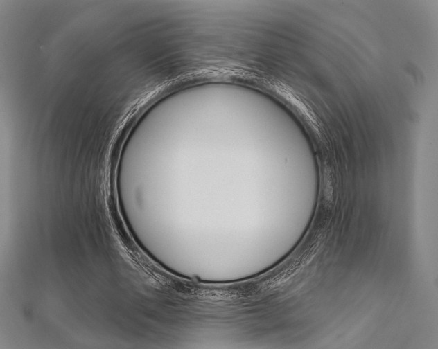 X0000112060486200908041014