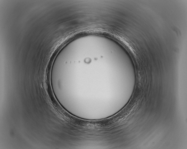 X0000112060487200908041014