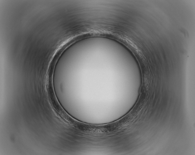 X0000112060488200908041014