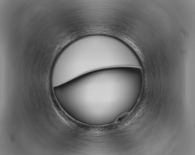 X0000112060489200908041014