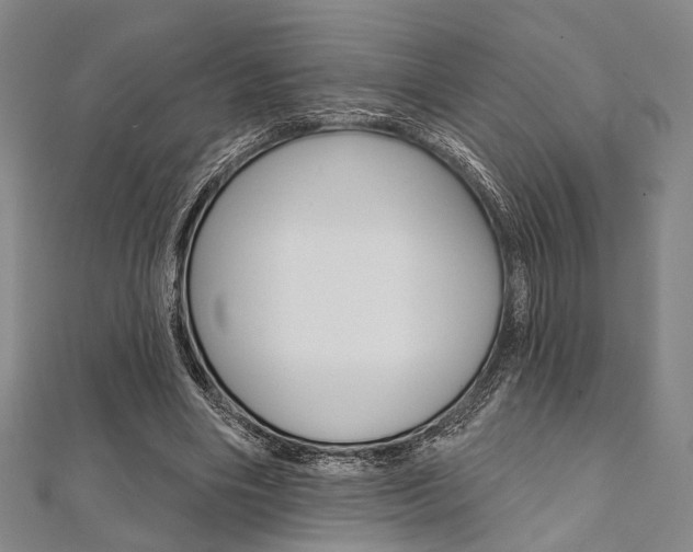 X0000112060490200908041014