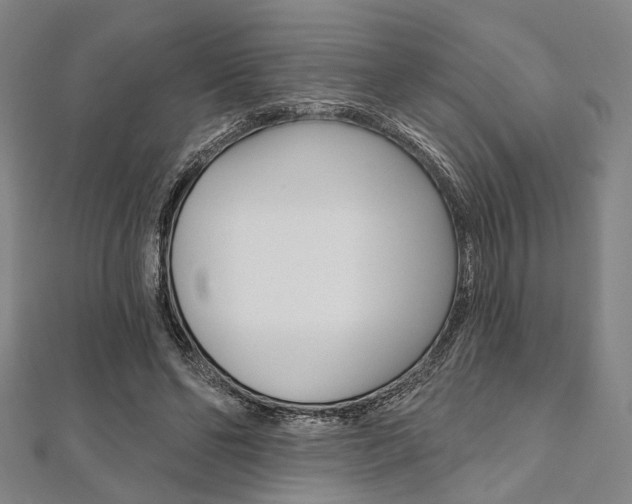 X0000112060494200908041014
