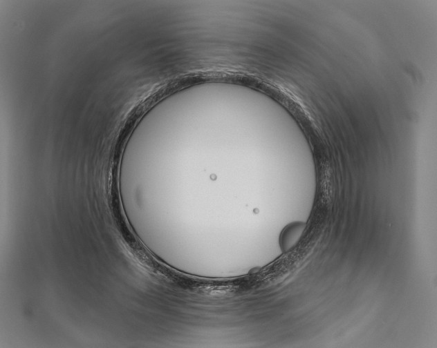 X0000112060495200908041014