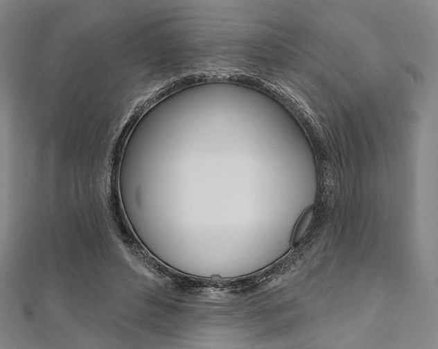 X0000112060496200908041014