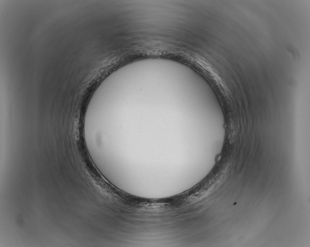 X0000112060497200908041014