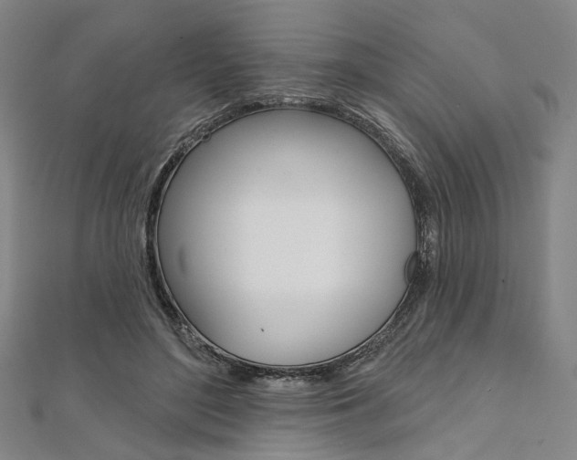 X0000112060500200908041014