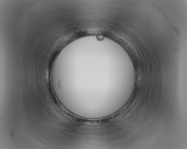 X0000112060502200908041014
