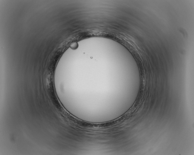 X0000112060503200908041014