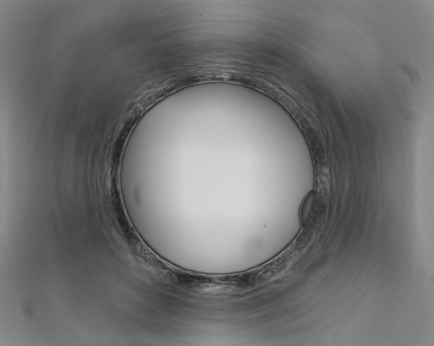 X0000112060504200908041014