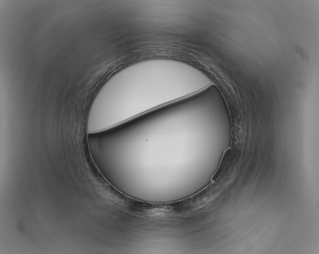 X0000112060505200908041014