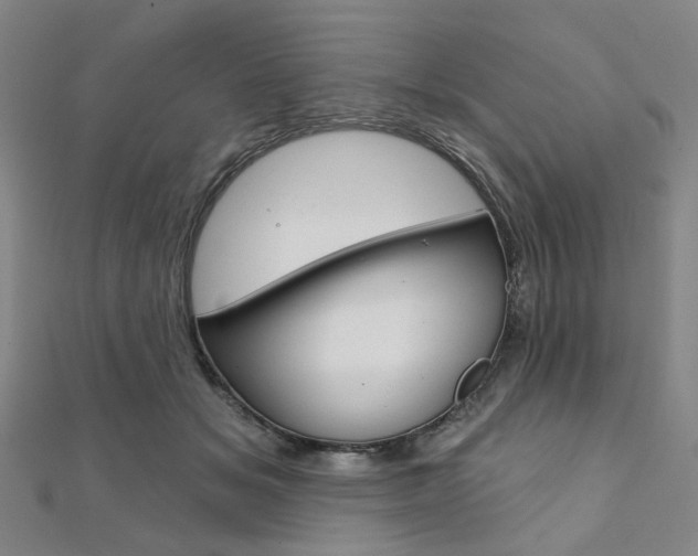 X0000112060509200908041014
