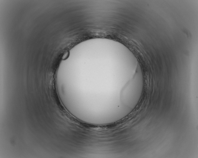 X0000112060511200908041014