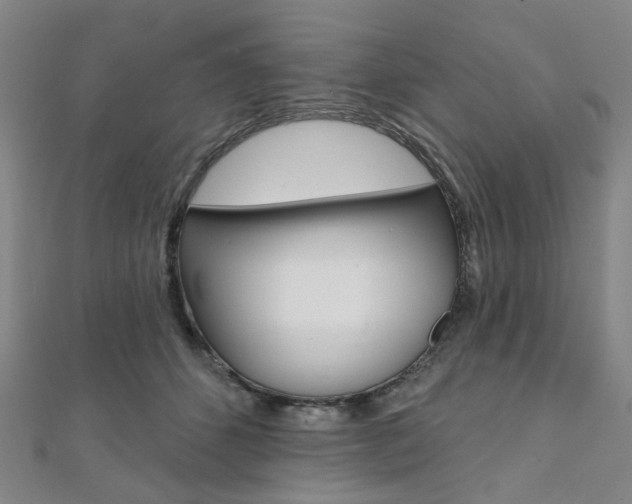 X0000112060512200908041014