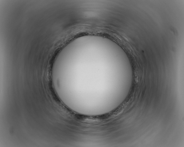 X0000112060515200908041013