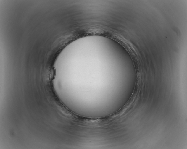X0000112060517200908041013