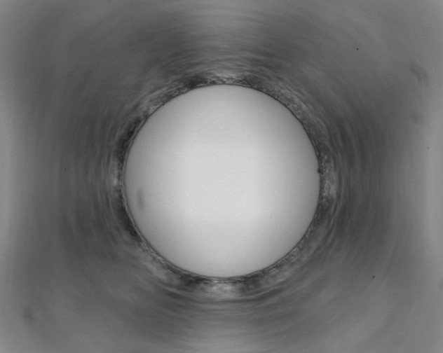 X0000112060518200908041013