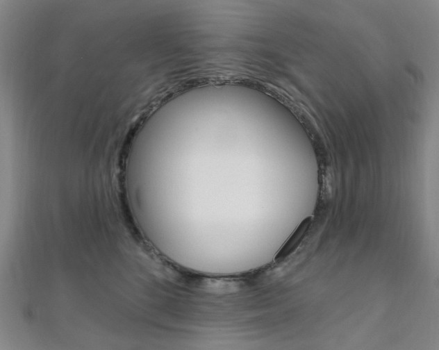 X0000112060520200908041013