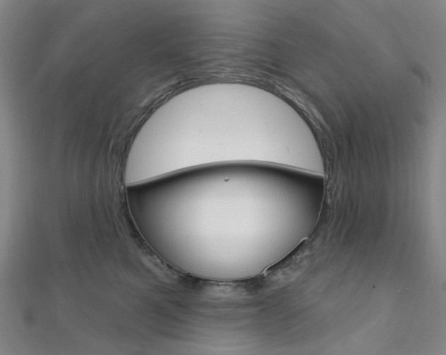 X0000112060521200908041013
