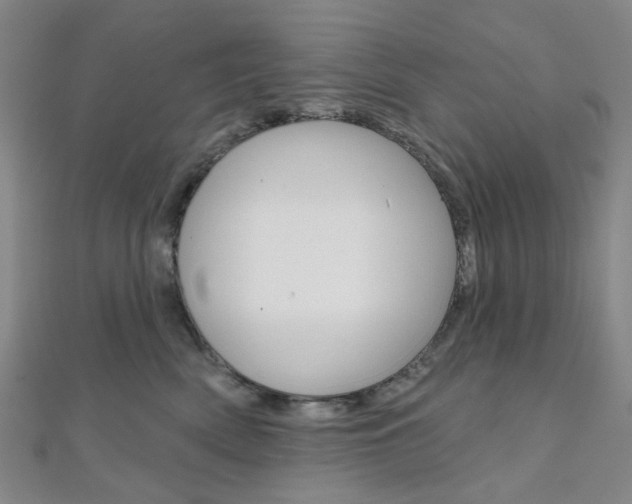 X0000112060522200908041013