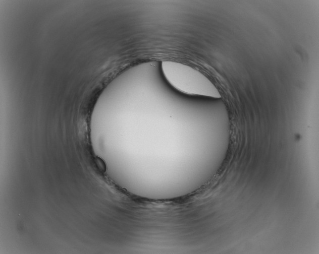 X0000112060523200908041013