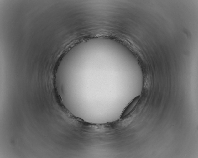 X0000112060524200908041013