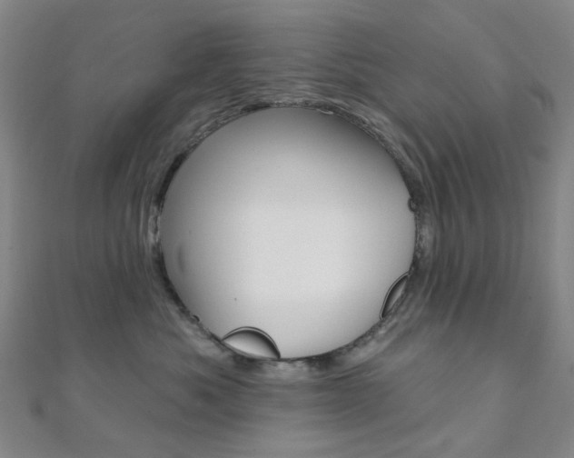 X0000112060525200908041013