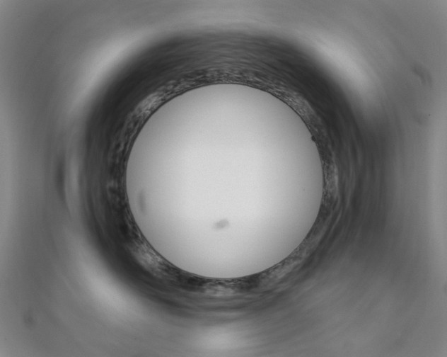 X0000112060526200908041013