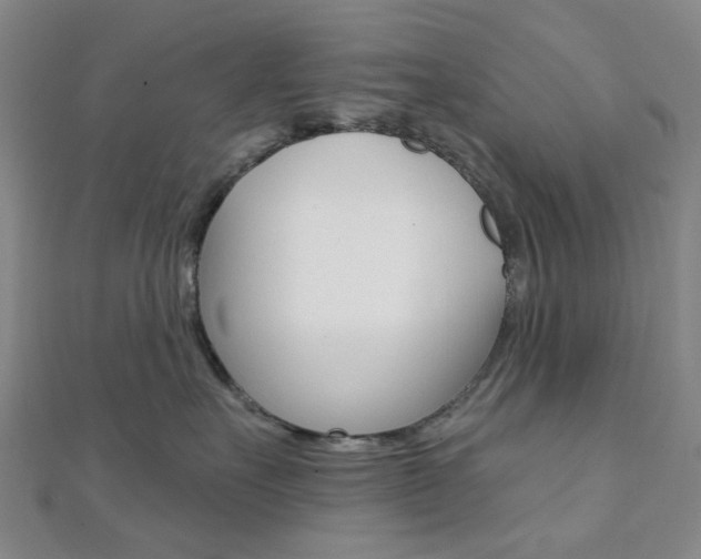X0000112060527200908041013