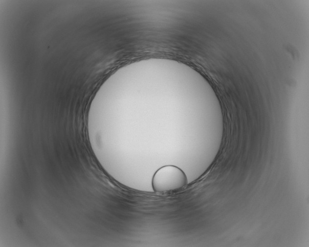 X0000112060528200908041013