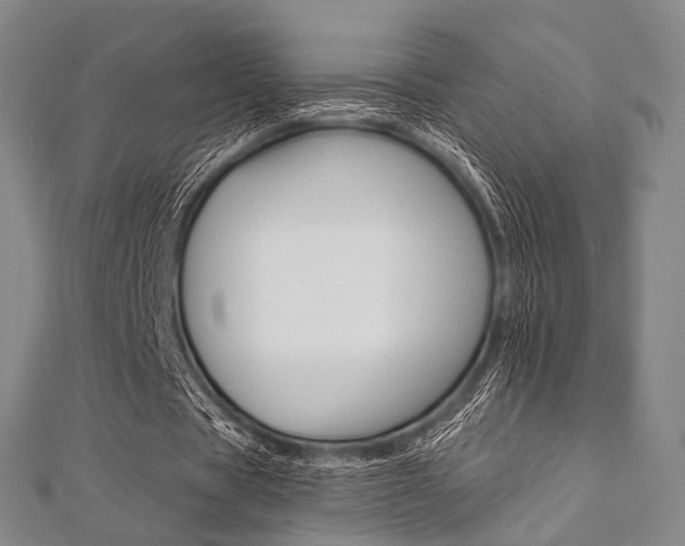 X0000112060529200908041013