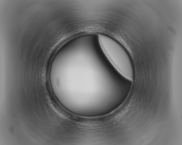 X0000112060530200908041013