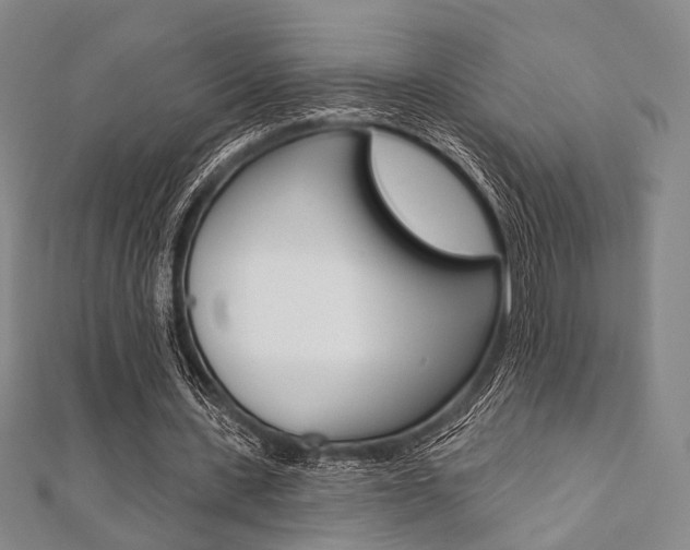 X0000112060531200908041013