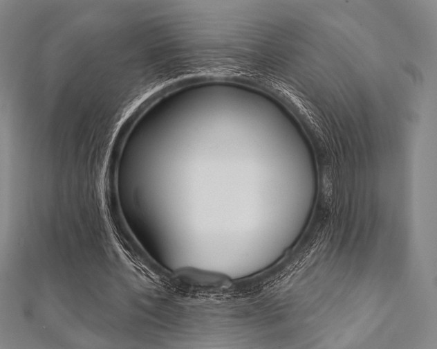 X0000112060532200908041013