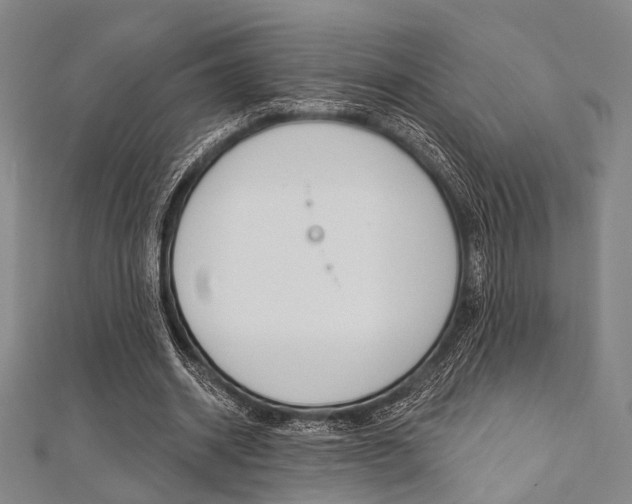 X0000112060534200908041013
