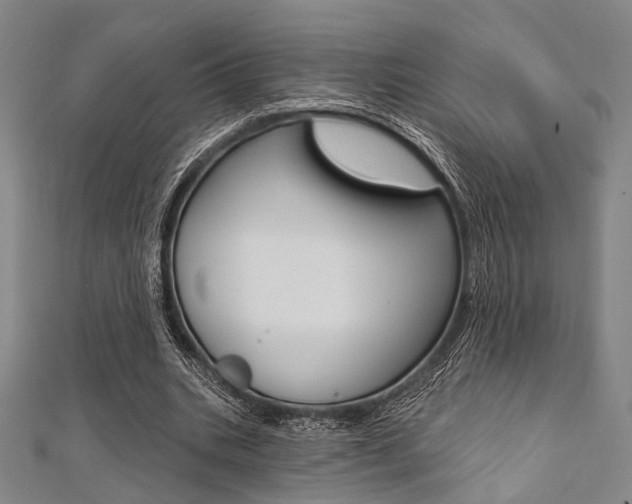 X0000112060535200908041013
