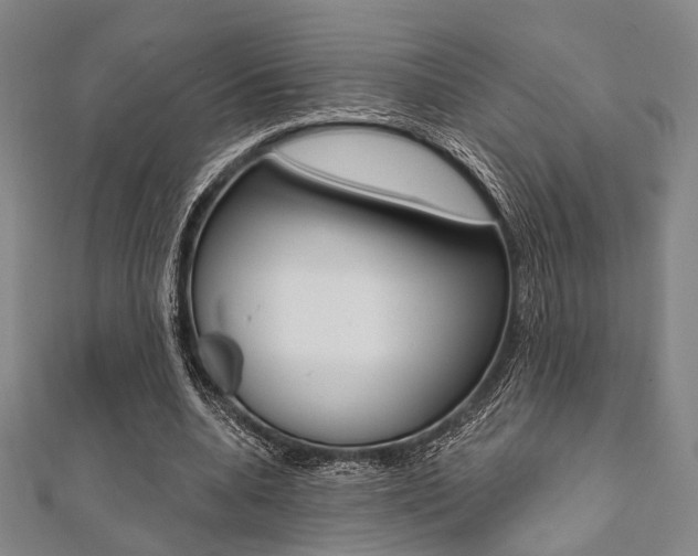X0000112060536200908041013
