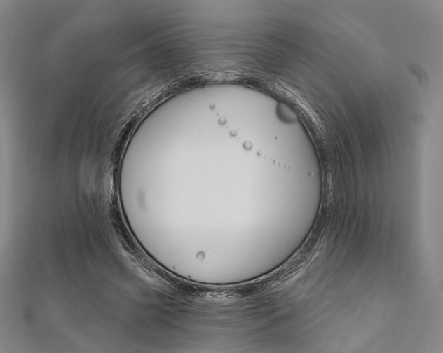 X0000112060541200908041013