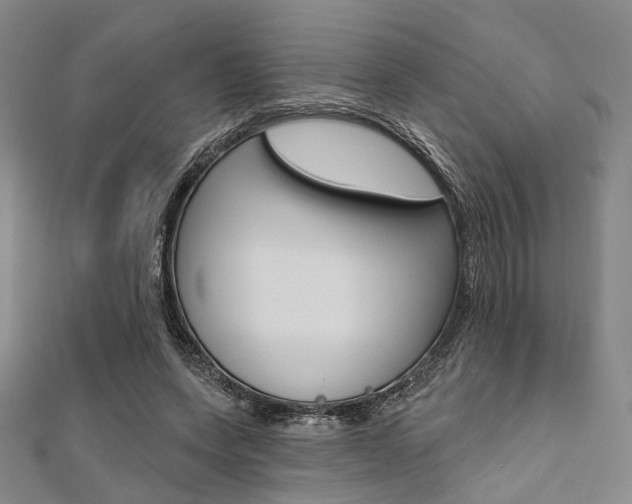 X0000112060543200908041013