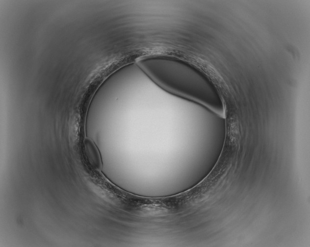 X0000112060544200908041013