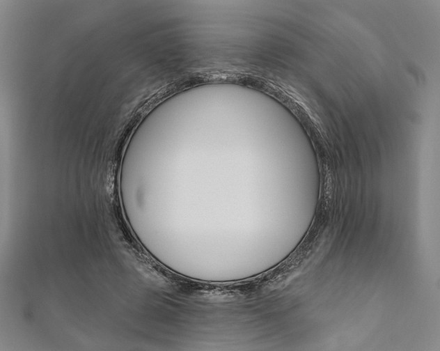 X0000112060545200908041013