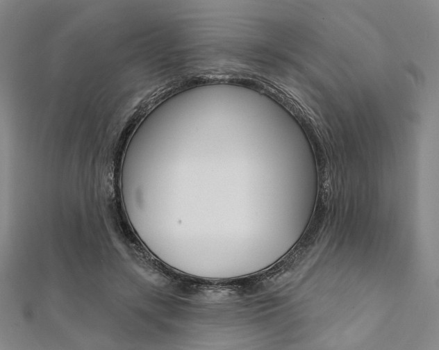 X0000112060547200908041013