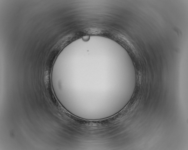 X0000112060549200908041013